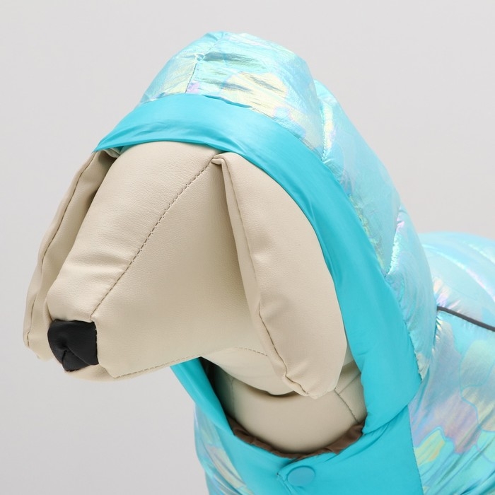 Комбинезон Комбинезон "Эфир", размер 16 (ДС 36, ОГ 46, ОШ 35 см), голубой