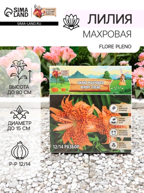 Лилия Махровая Flore Pleno, луковица в пакете с перфорацией, р-р 12/14, 2 шт.