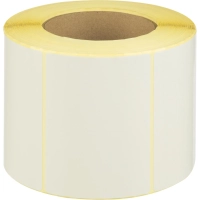 Термотрансферные этикетки ПГЛ 100x72 1000 шт/рул, вт.76, 12 рул/уп