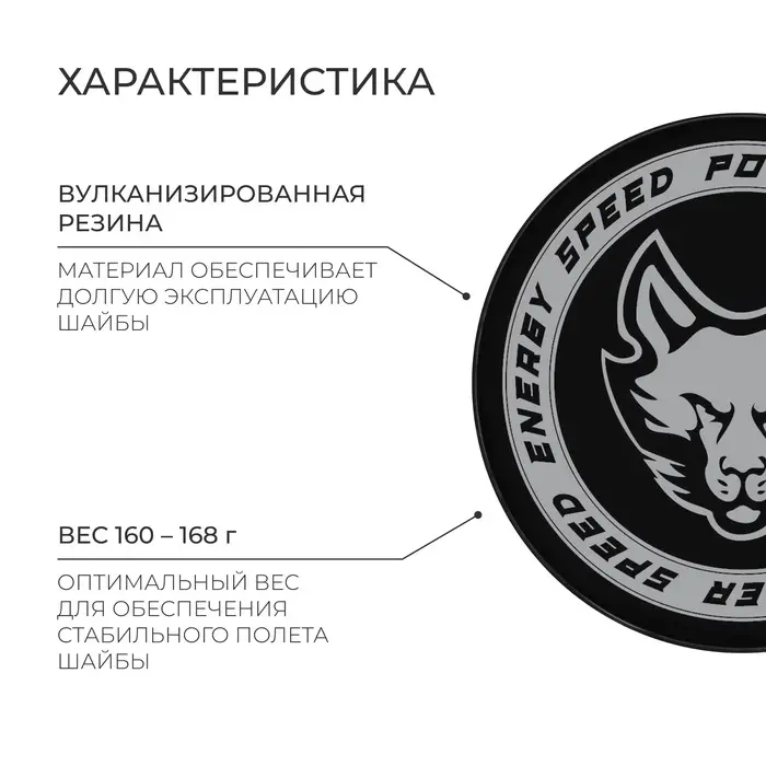 Шайба хоккейная Winter Star, взрослая, d=7.6 см