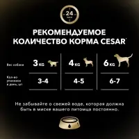Влажный корм Cesar для собак, говядина с овощами, пауч, 85 г