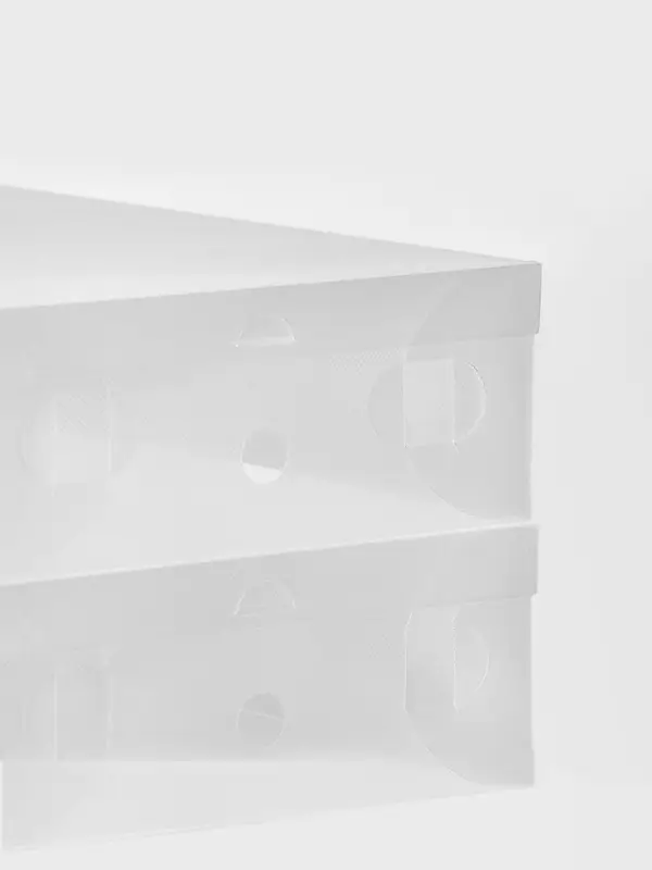 Коробка для хранения сапог с крышкой Uni size, 30&times;52&times;12 см, 2 шт.