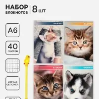 Блокноты 8 шт. А6 40 листов в клетку на скобе &laquo;Котята и щенята&raquo;, мел карт, бл офс, 4 В + ручка МИКС