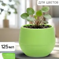 Горшок цветочный &laquo;Япония&raquo;, 125 мл, d=8 см, h=6.5 см, пластиковый, с поддоном, фисташковый