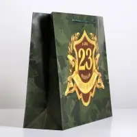 Пакет подарочный ламинированный, упаковка, &laquo;С 23 февраля&raquo;, L 28&times;38&times;9 см