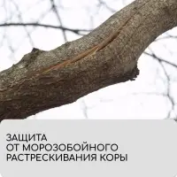 Лента для подвязки растений, 10×0.02 м, плотность 60 г/м², набор 2 шт., спанбонд с УФ-стабилизатором, белая, Greengo, Эконом 20%