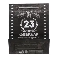 Пакет подарочный ламинированный, упаковка, &laquo;С 23 февраля&raquo;, MS 18&times;23&times;10 см