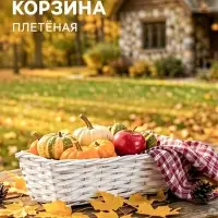 Корзина плетёная для хранения, 37&times;15&times;10 см, лоза, белая