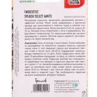 Семена цветов Гипоэстес &laquo;Сплэш Селект Белый&raquo;, 4 шт. &laquo;Григорьев&raquo;