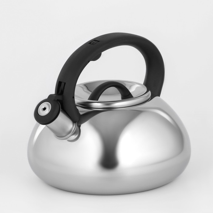 Чайник со свистком из нержавеющей стали Доляна «Квант», 2,8 л, фиксированная ручка, цвет хромированный