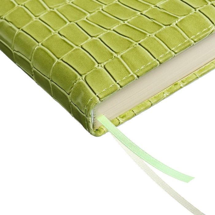 Ежедневник датированный 2025 года, A5, 168 листов, deVENTE. Barbara, твердая обложка кожзам с поролоном, перфорацией, ляссе, блок 70, зеленый Ежедневник датированный 2025 года, A5, 168 листов, deVENTE. Barbara, твердая обложка кожзам с поролоном, перфорацией, ляссе, блок 70, зеленый