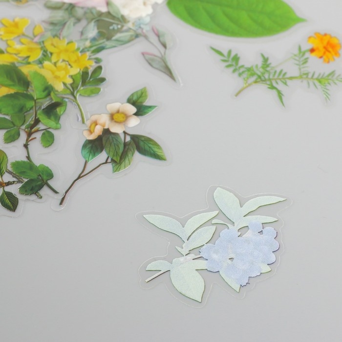 Наклейки для творчества пластик PVC Наклейки для творчества пластик PVC "Воспоминания о путешествии" набор 60 шт 10х14 см