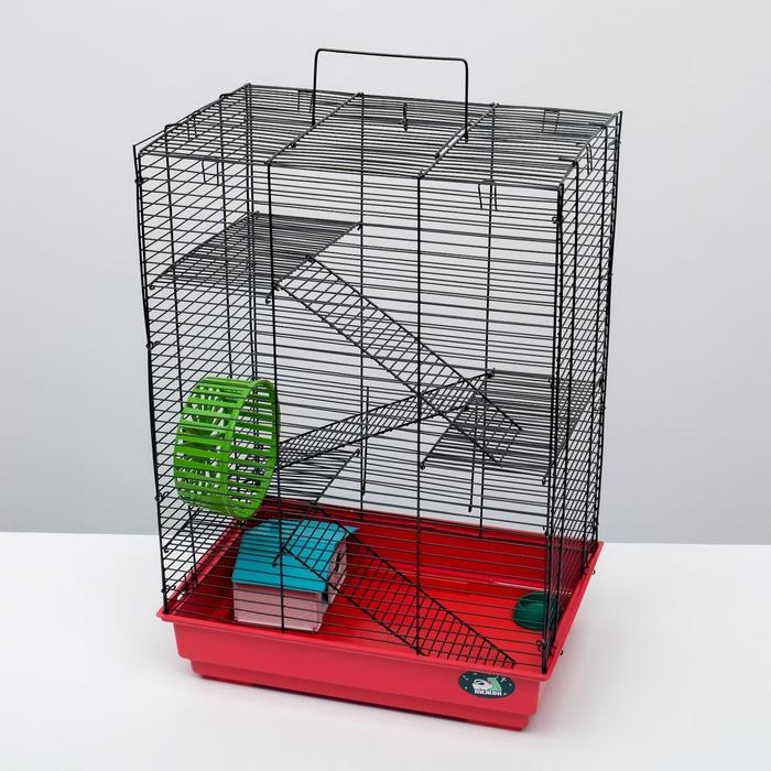 Клетка для грызунов Клетка для грызунов "Пижон" №5, с 3 этажами, укомплектованная, 41 х 30 х 58 см, рубиновая