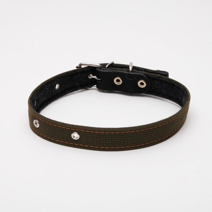 Ошейник брезентовый на фетре, 64 х 3 см, ОШ 30-55 см, тёмно-зелёный Ошейник брезентовый на фетре, 64 х 3 см, ОШ 30-55 см, тёмно-зелёный