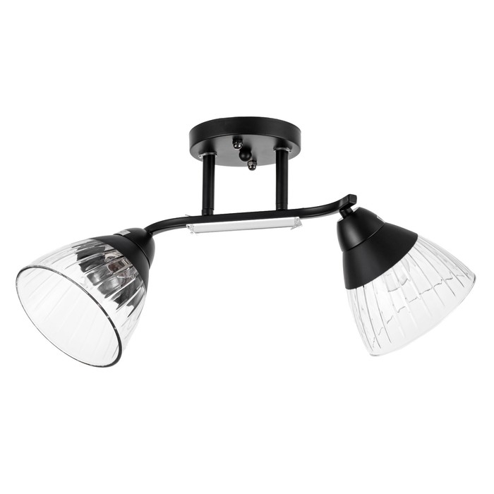 Люстра потолочная Люстра потолочная "Аррон" E27 2х40Вт черный 46х19х24см