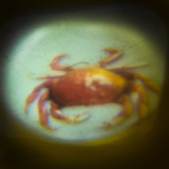 Проектор-фонарик «Тайны океана», свет, 3 слайда, 24 картинки, цвета МИКС Проектор-фонарик «Тайны океана», свет, 3 слайда, 24 картинки, цвета МИКС