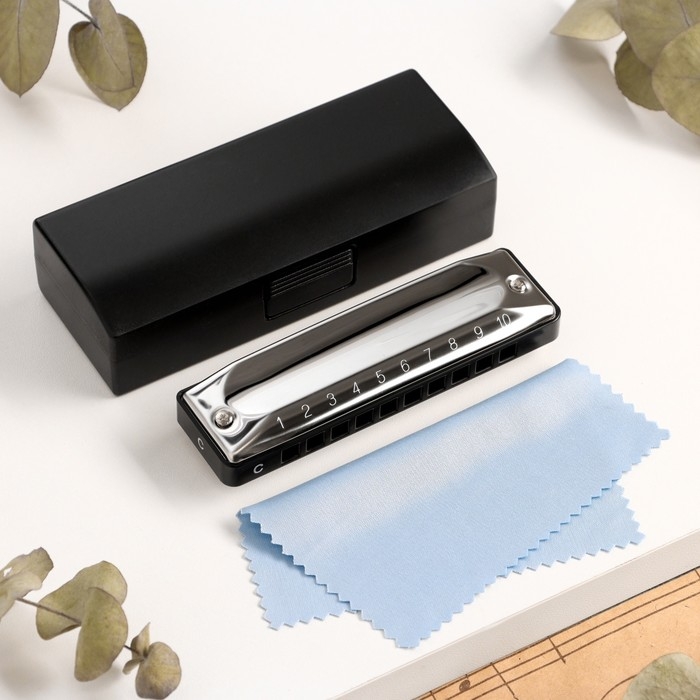 Губная гармошка Music Life T002 C диатоническая, 10 отверстий, с футляром Губная гармошка Music Life T002 C диатоническая, 10 отверстий, с футляром