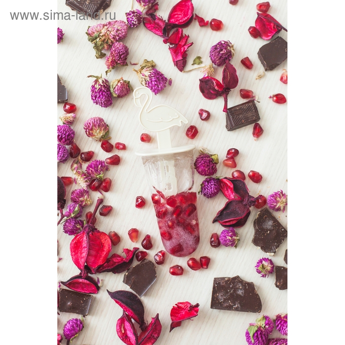 Форма для мороженого «Фламинго», 12,5×11,5×14,5 см, 6 ячеек, цвет прозрачный Форма для мороженого «Фламинго», 12,5×11,5×14,5 см, 6 ячеек, цвет прозрачный