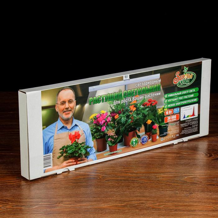 Фитосветильник «Растущий светильник», 16 Вт, 220 В, 560 × 220 × 560 мм, на подставке Фитосветильник «Растущий светильник», 16 Вт, 220 В, 560 × 220 × 560 мм, на подставке