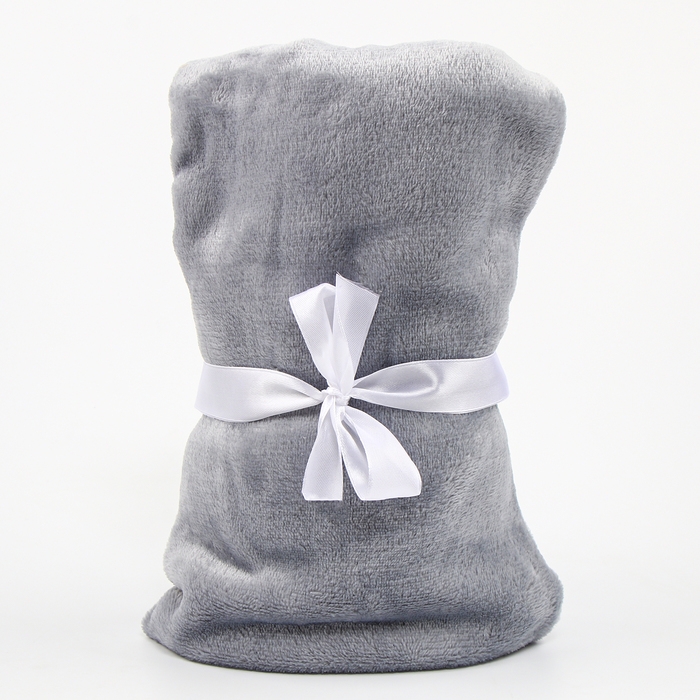 Набор подарочный: Комфортер 27 см + плед 71х125 см, «Енот» Набор подарочный: Комфортер 27 см + плед 71х125 см, «Енот»