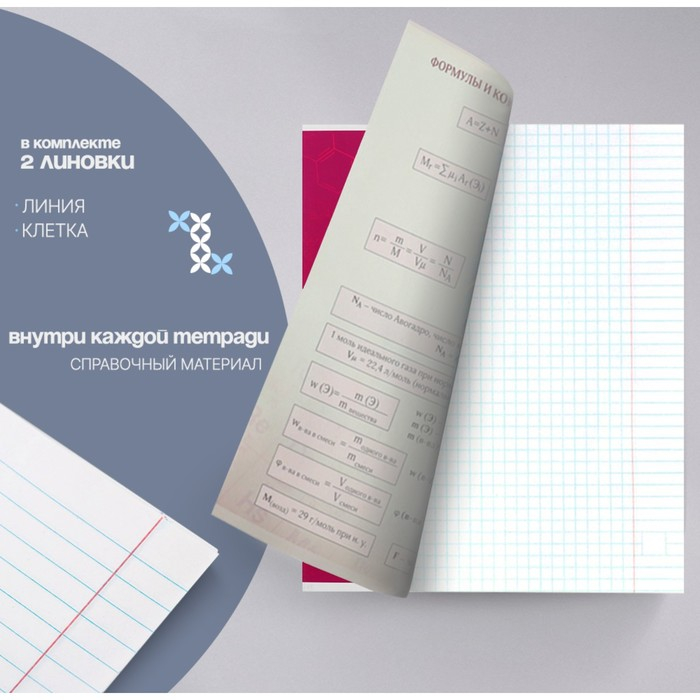 Комплект предметных тетрадей 48 листов "Фото", 10 предметов со справочным материалом, обложка мелованный картон, блок офсет