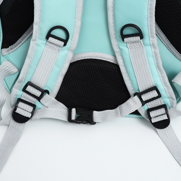 Рюкзак для переноски кошек и собак, с окном для обзора, зелёный Рюкзак для переноски кошек и собак, с окном для обзора, зелёный