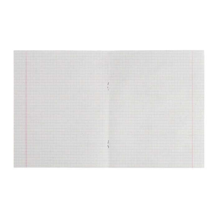 Комплект тетрадей из 10 штук, 18 листов в клетку КПК "Зелёная обложка", блок №2, белизна 75% (серые листы)