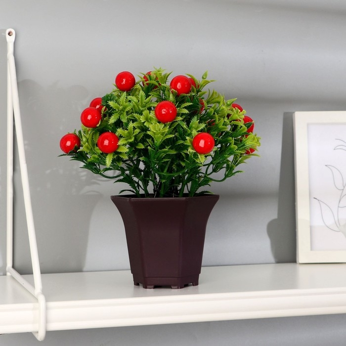 Бонсай в горшке Бонсай в горшке "Паслён ложноперечный" 19х20 см, микс