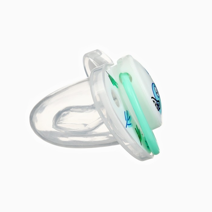 Соска - пустышка ортодонтическая «Птички», +6 мес., цвет зеленый Соска - пустышка ортодонтическая «Птички», +6 мес., цвет зеленый