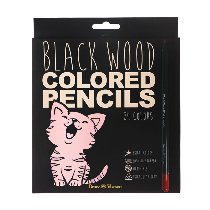 Карандаши 24 цвета BlackWoodColor, пластиковые, трёхгранные, МИКС Карандаши 24 цвета BlackWoodColor, пластиковые, трёхгранные, МИКС
