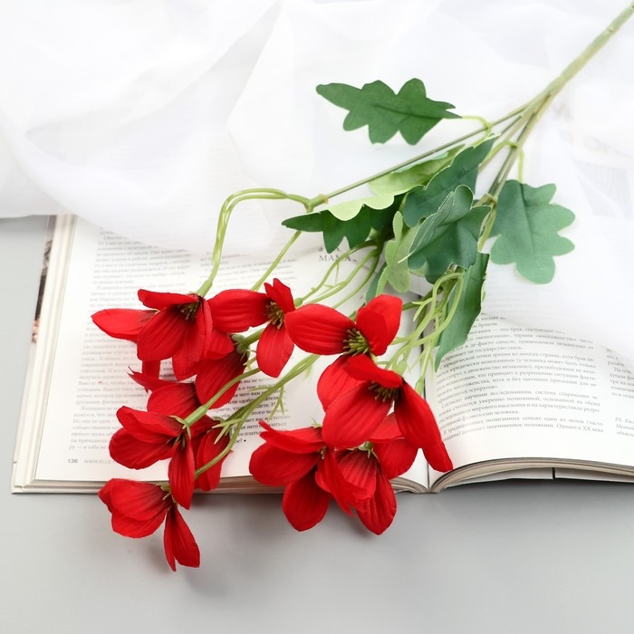 Букет  Букет "Фрезия" 4х29 см, микс
