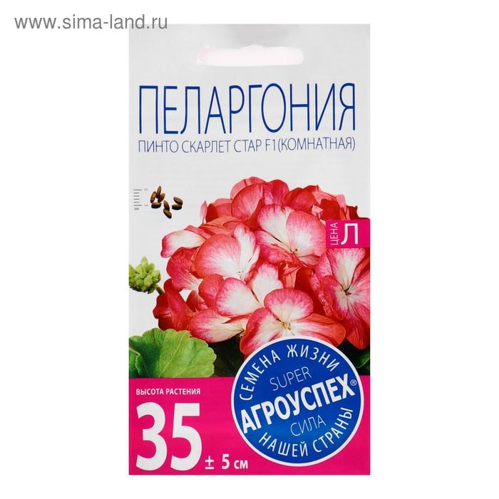 Семена цветов Пеларгония  Семена цветов Пеларгония "Пинто Скарлет Стар", F1, 4 шт
