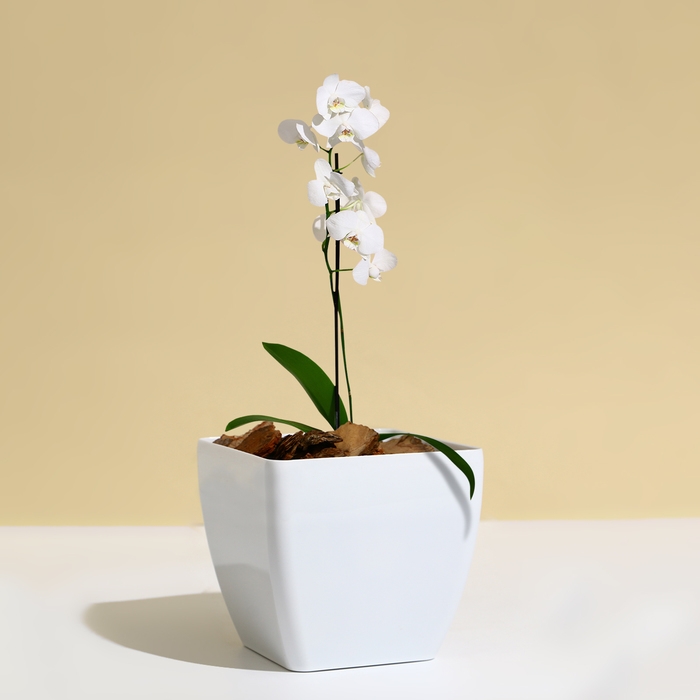 Горшок для цветов, 15 × 15 см, 2,5 л, пластик, белый Горшок для цветов, 15 × 15 см, 2,5 л, пластик, белый