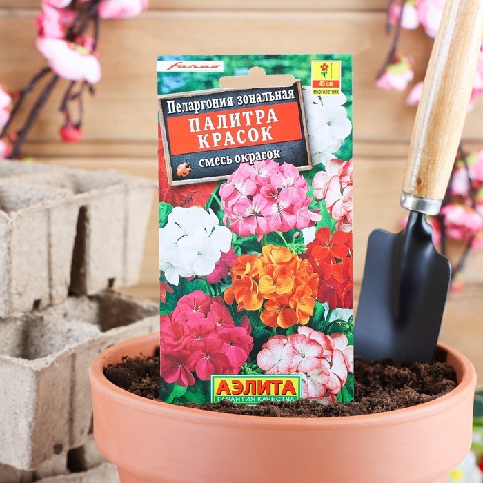 Семена комнатных цветов Пеларгония Семена комнатных цветов Пеларгония "Палитра красок", 4 шт.
