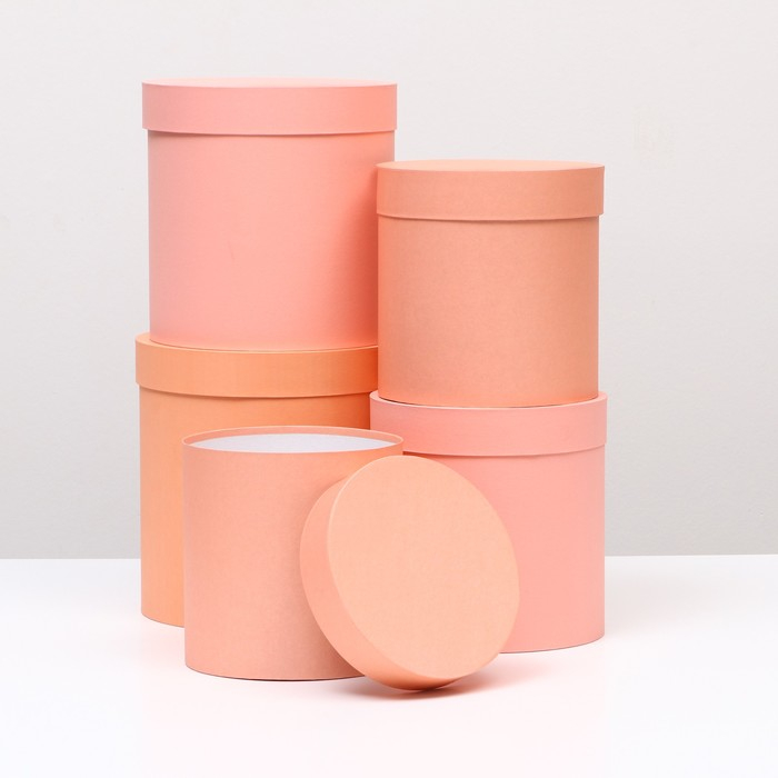 Набор круглых коробок 5 в 1 Набор круглых коробок 5 в 1 "Краски", персиковый, 25 х 25 х 25 - 19 х 19 х 19 см