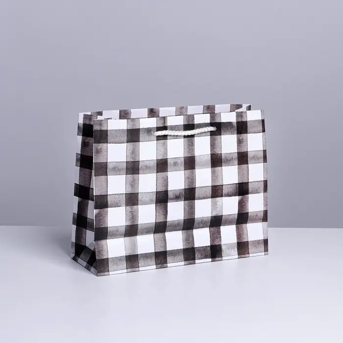 Пакет подарочный ламинированный, упаковка, «Сильному», MS 23 х 18 х 8 см