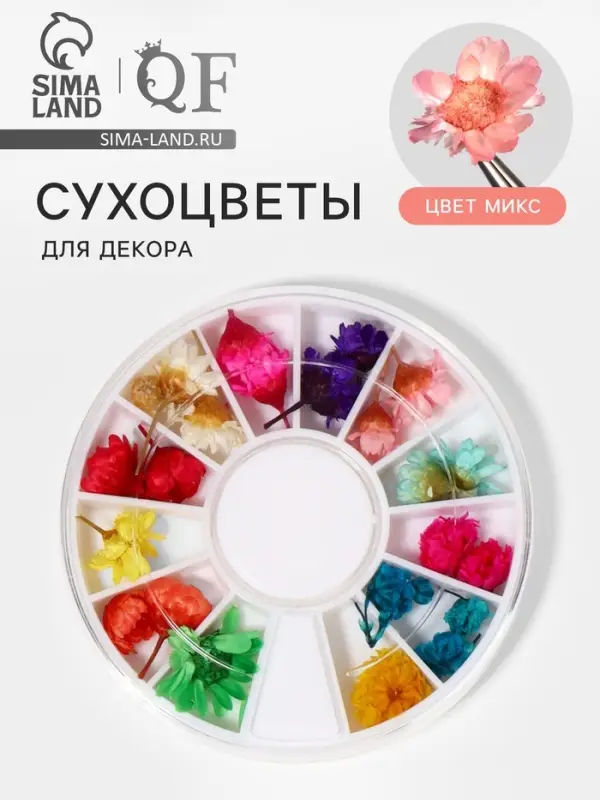 Сухоцветы для декора &laquo;Ромашки&raquo;, объёмные, 12 видов, в футляре, разноцветные