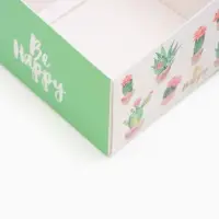 Коробка самосборная &laquo;Кактусы&raquo;, размер 11&times;11&times;7 см, плотность 250 г/м&sup2;