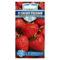 Набор семян Земляника "Гигант русский", F1, серия Русский богатырь, 3 шт. Набор семян Земляника "Гигант русский", F1, серия Русский богатырь, 3 шт.