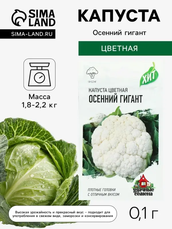Семена Капуста цветная &laquo;Осенний гигант&raquo;, 0.1 г, &laquo;Удачные семена&raquo;