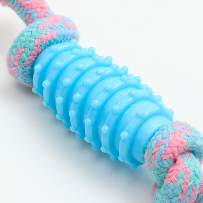 Игрушка жевательная Игрушка жевательная "Элемент", 17 х 3,2 см, голубая/розовая