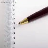 Ручка шариковая, синяя паста, 1 мм, пластик, автоматическая &laquo;Лучший учитель&raquo;