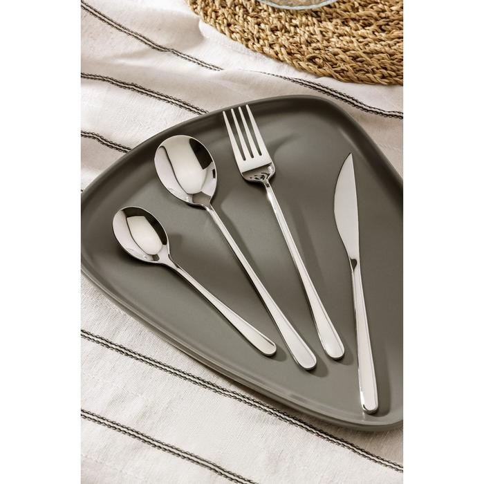Столовые приборы из нержавеющей стали Magistro «Дина», 4 предмета, цвет серебряный Столовые приборы из нержавеющей стали Magistro «Дина», 4 предмета, цвет серебряный