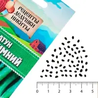 Семена Лук-батун &laquo;Русский зимний&raquo;, 0.5 г, многолетник, &laquo;Рецепты дедушки Никиты&raquo;