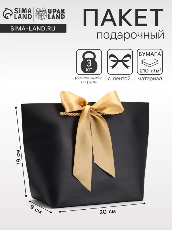 Пакет подарочный ламинированный, с лентой &laquo;Чёрный&raquo;, горизонтальный 19&times;20&times;9 см