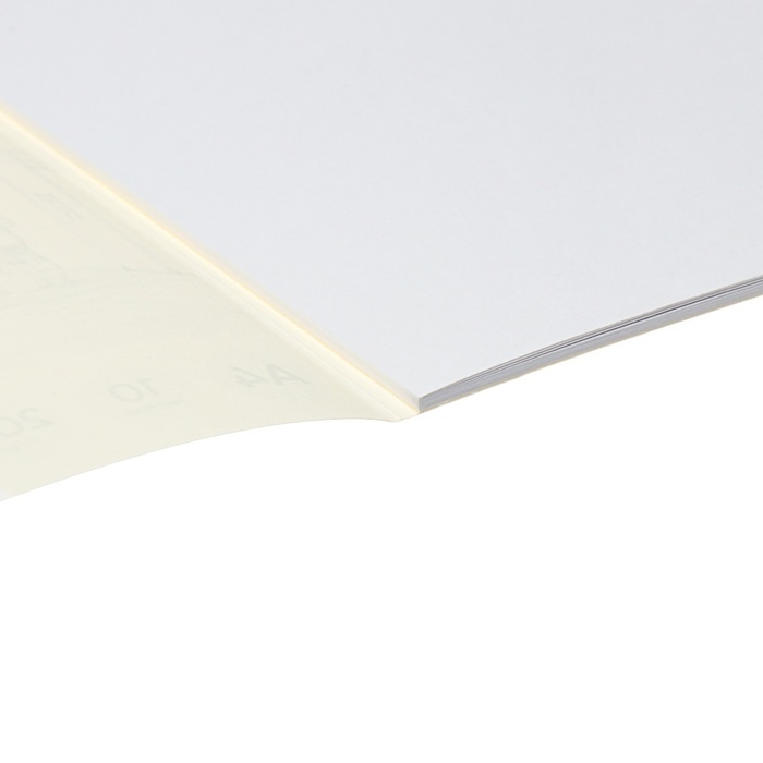 Альбом для черчения А4, 10 листов, блок 200 г/м², на клею, ErichKrause, без рамки Альбом для черчения А4, 10 листов, блок 200 г/м², на клею, ErichKrause, без рамки