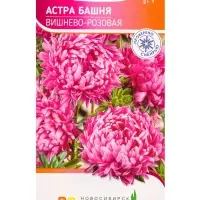 Семена Астра Башня Вишнево-Розовая 0,3 г Семена Астра Башня Вишнево-Розовая 0,3 г
