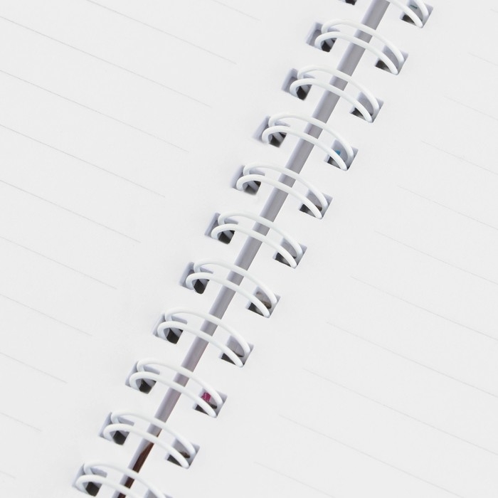 Ежедневник на гребне «Воспитателю: Лучшего воспитателя» формат А5, 60 листов Ежедневник на гребне «Воспитателю: Лучшего воспитателя» формат А5, 60 листов