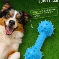 Жевательная игрушка для собак &laquo;Грозная гантель&raquo;, 15&times;5 см, синяя