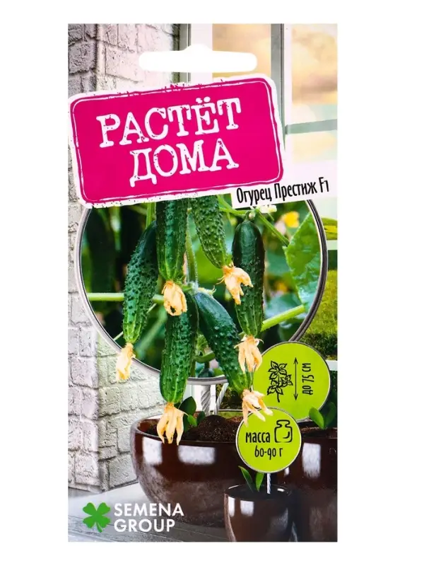 Семена  Семена "Растёт дома!" Огурец Престиж, F1  5 шт.